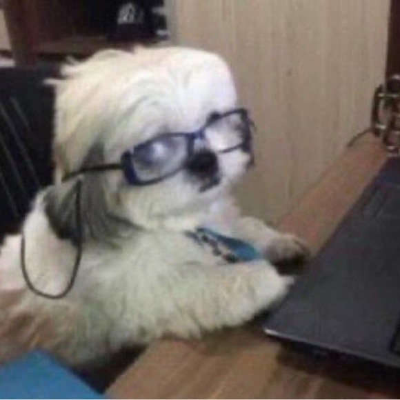 Meet your Posher, Cri - Picture 1 of 1